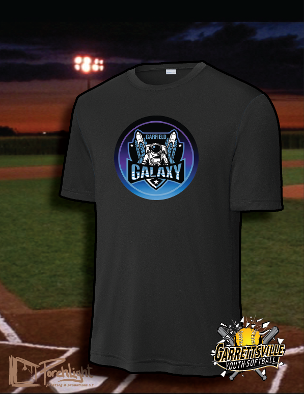 Garrettsville Galaxy