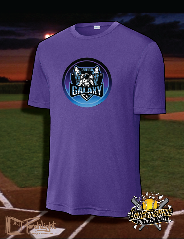 Garrettsville Galaxy