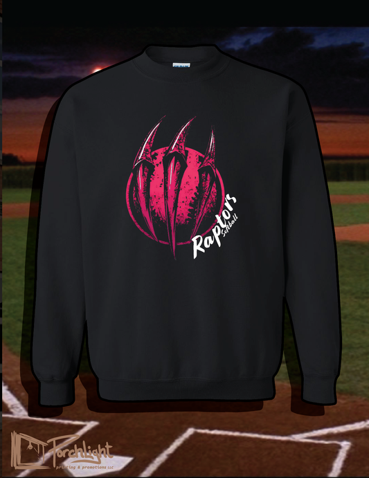 Raptors New Logo